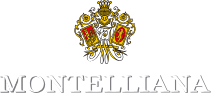 Monetllianar